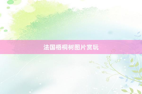 法国梧桐树图片赏玩